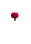Happy Flower
