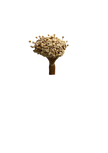 Happy Flower