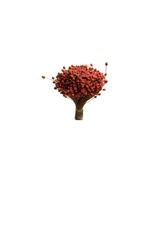 Happy Flower