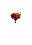Happy Flower