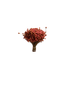 Happy Flower