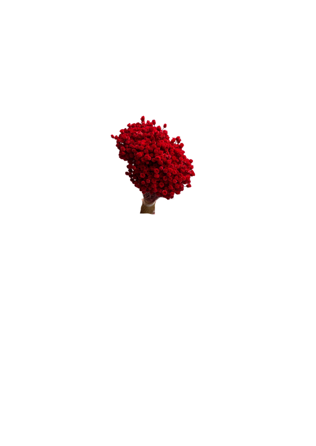 Happy Flower