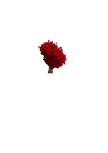 Happy Flower