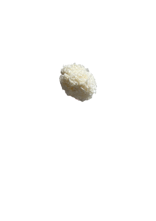 Hortansia
