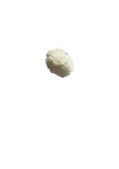 Hortansia