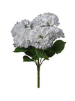 Hortensia sur tige
