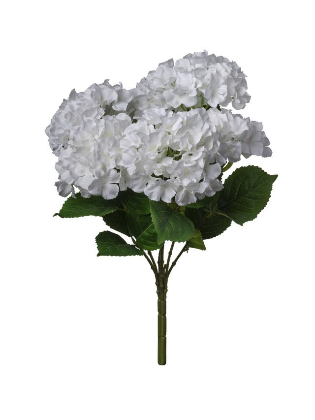 Hortensia sur tige