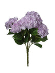 Hortensia sur tige