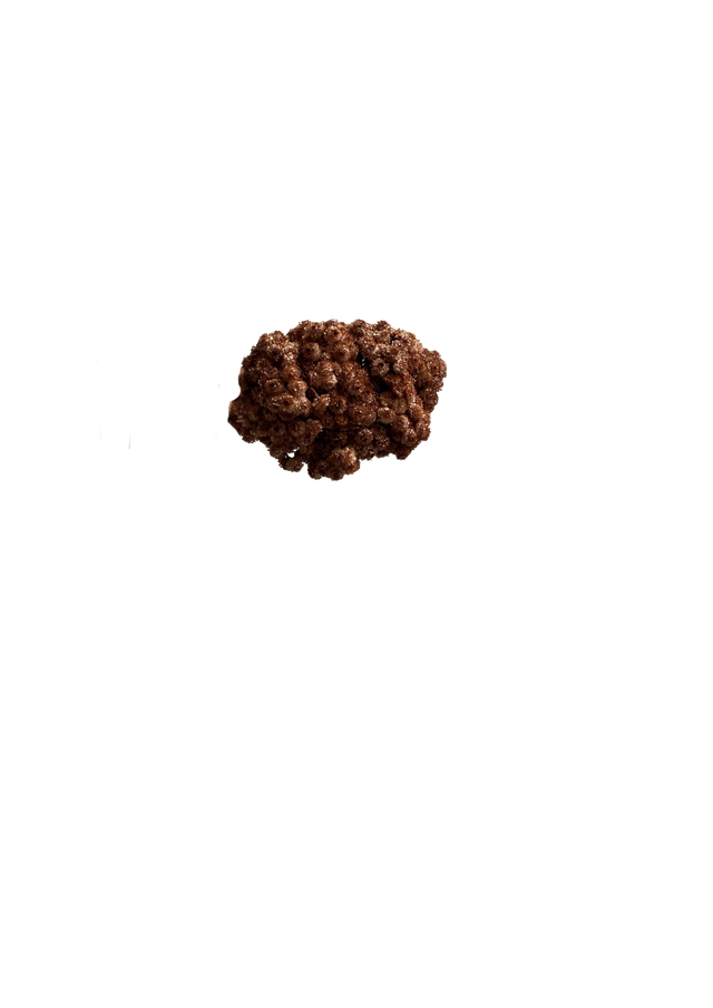Immortelle