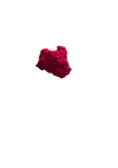 Immortelle