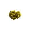 Immortelle