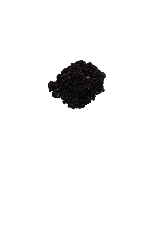 Immortelle