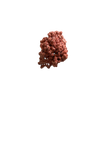 Immortelle
