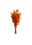 Lagurus