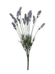 Lavende