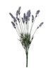 Lavende