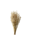 Linograss