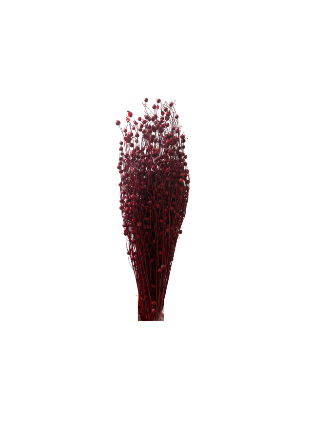 Linograss