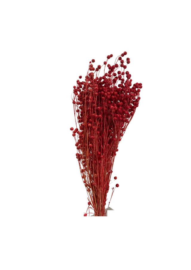 Linograss