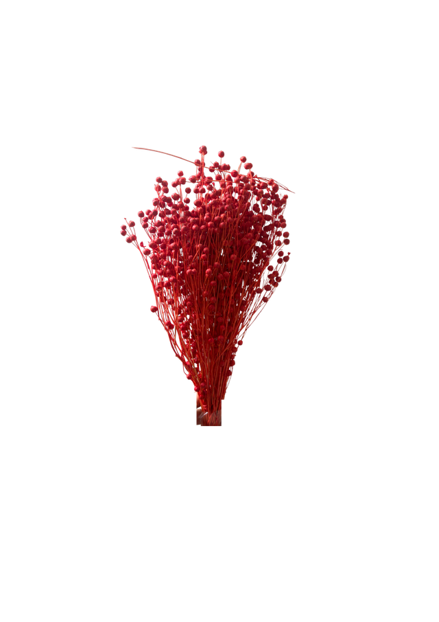 Linograss