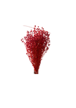 Linograss