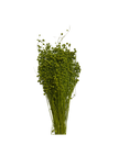 Linograss