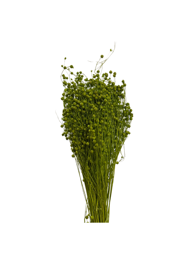 Linograss