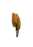 Luffa