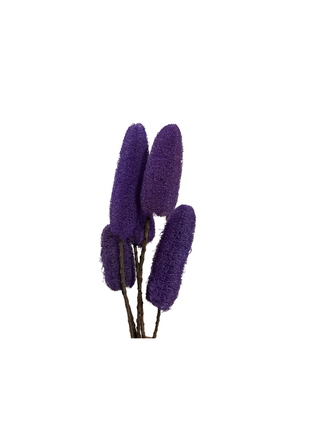 Luffa