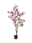 Magnolia en pot