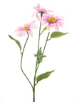 Marguerite