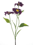 Marguerite