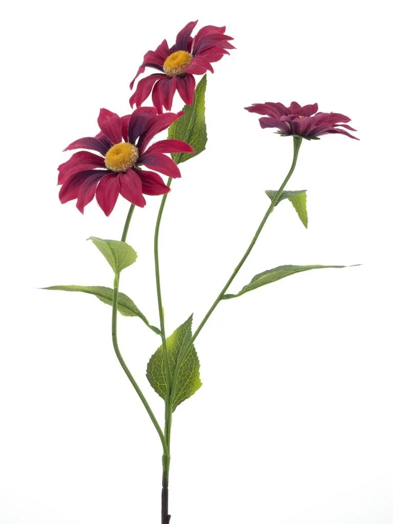 Marguerite