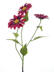 Marguerite