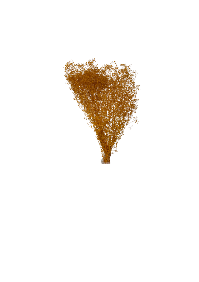 Mini Gipsophile