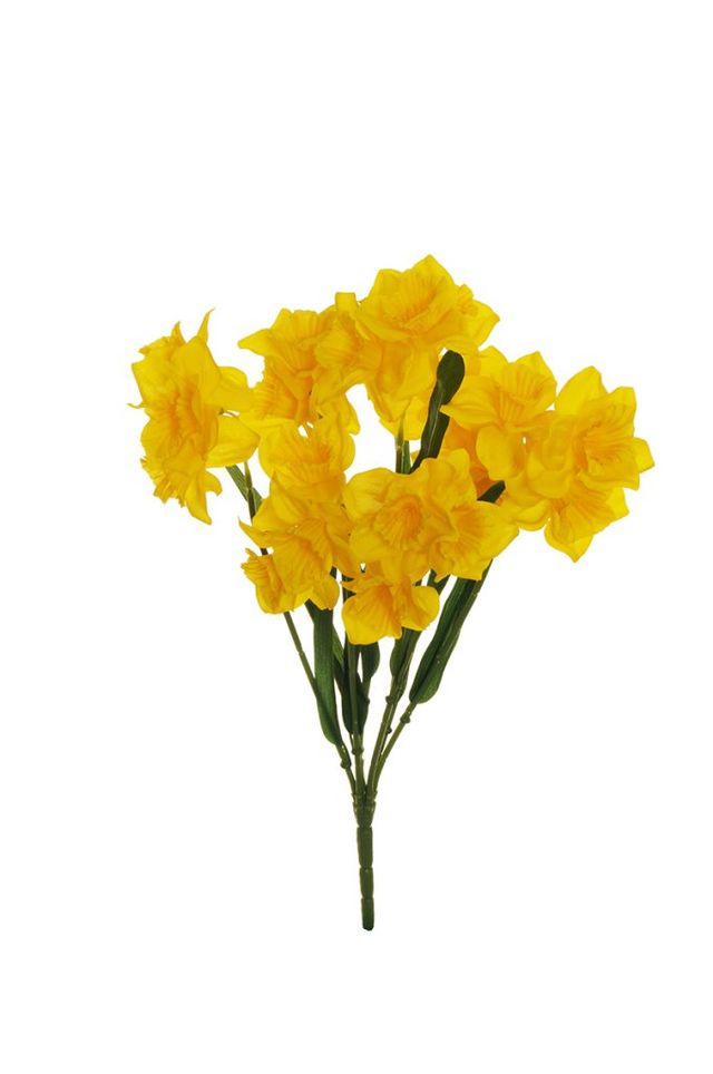 Narcisse
