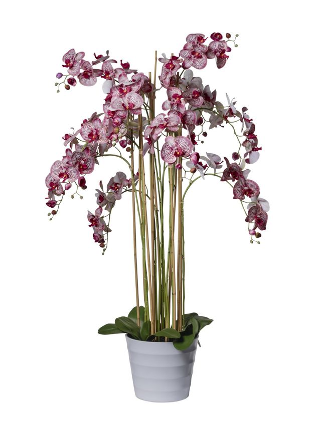 Orchidées 12 branches