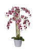 Orchidées 8 branches
