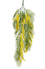 PIQUET DE MIMOSA