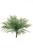 Palmier areca