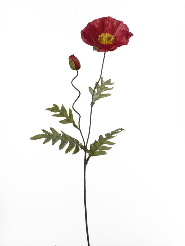 Pavot 2 fleurs