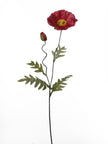 Pavot 2 fleurs