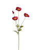 Pavot 4 fleurs