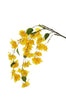 Piquet de bougainvillier