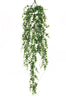 Piquet de eucalyptus