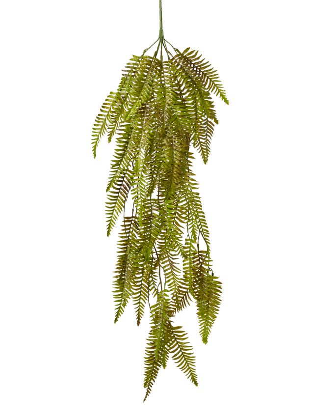 Piquet de fern