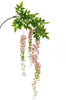 Piquet de glycine