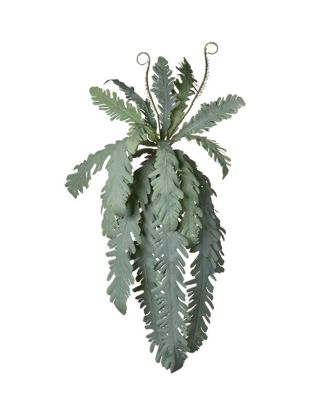 Piquet de monstera retombant