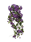 Piquet de petunia