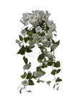 Piquet de petunia